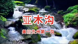 万词王
