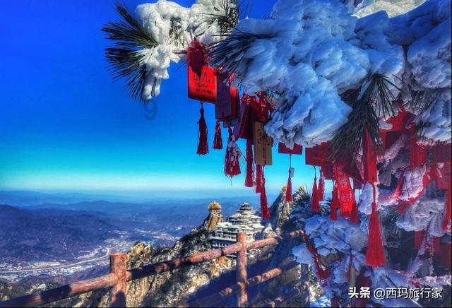 拯救孩子詹姆斯